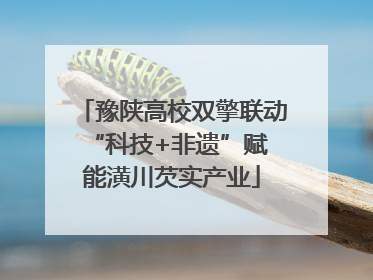 豫陕高校双擎联动 “科技+非遗”赋能潢川芡实产业