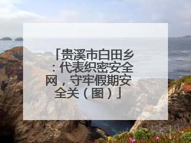 贵溪市白田乡：代表织密安全网，守牢假期安全关（图）