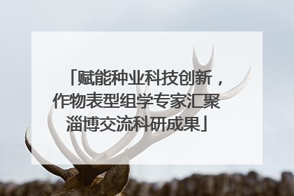 赋能种业科技创新，作物表型组学专家汇聚淄博交流科研成果