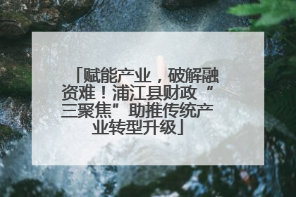 赋能产业，破解融资难！浦江县财政“三聚焦”助推传统产业转型升级