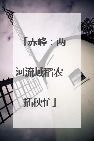 赤峰：两河流域稻农插秧忙