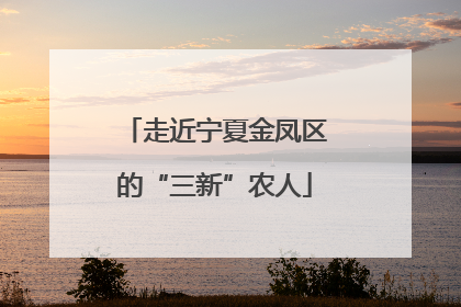 走近宁夏金凤区的“三新”农人