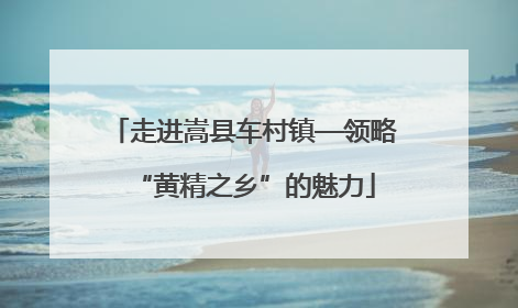 走进嵩县车村镇—领略“黄精之乡”的魅力