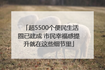 超5500个便民生活圈已建成 市民幸福感提升就在这些细节里