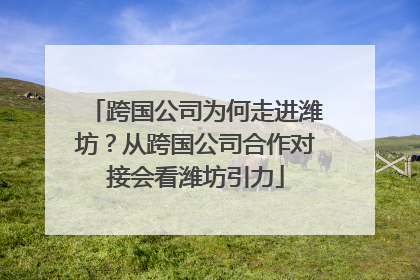 跨国公司为何走进潍坊？从跨国公司合作对接会看潍坊引力