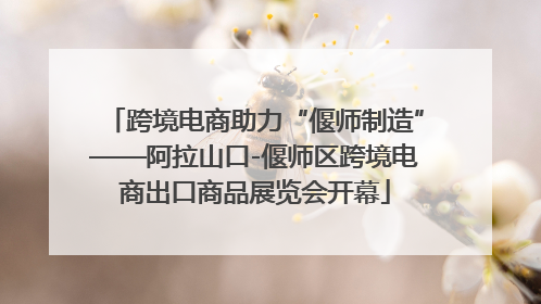 跨境电商助力“偃师制造”——阿拉山口-偃师区跨境电商出口商品展览会开幕