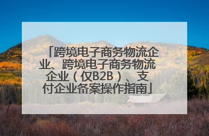 跨境电子商务物流企业、跨境电子商务物流企业（仅B2B）、支付企业备案操作指南