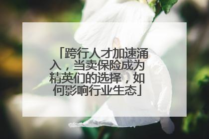 跨行人才加速涌入，当卖保险成为精英们的选择，如何影响行业生态