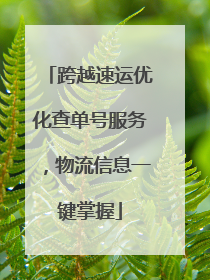 跨越速运优化查单号服务，物流信息一键掌握