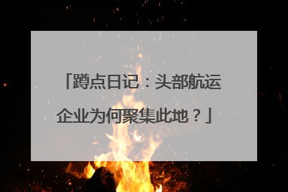 蹲点日记：头部航运企业为何聚集此地？