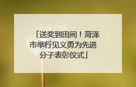 送奖到田间！菏泽市举行见义勇为先进分子表彰仪式
