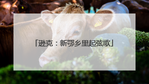 逊克：新鄂乡里起弦歌