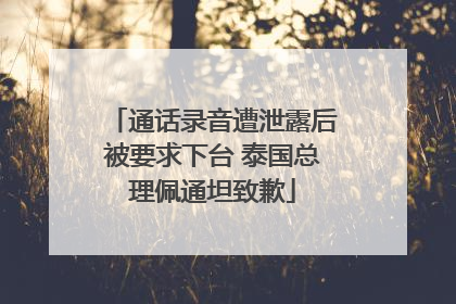 通话录音遭泄露后被要求下台 泰国总理佩通坦致歉
