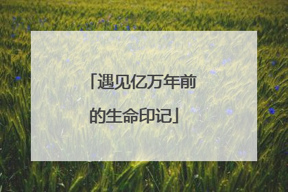 遇见亿万年前的生命印记