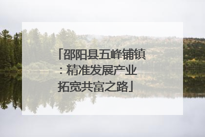 邵阳县五峰铺镇：精准发展产业 拓宽共富之路