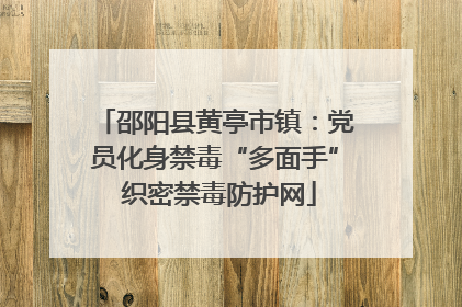 邵阳县黄亭市镇：党员化身禁毒“多面手” 织密禁毒防护网