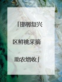 邯郸复兴区鲜桃采摘助农增收