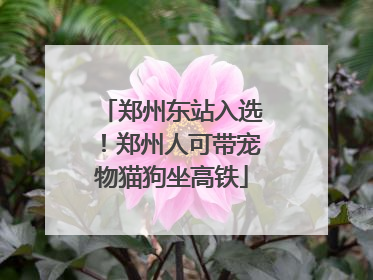 郑州东站入选！郑州人可带宠物猫狗坐高铁