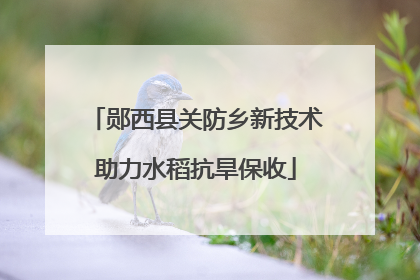 郧西县关防乡新技术助力水稻抗旱保收