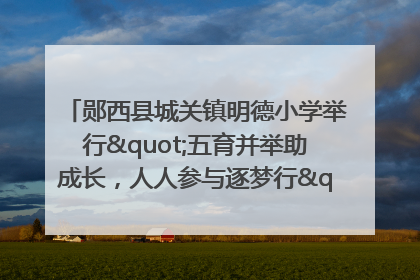 郧西县城关镇明德小学举行"五育并举助成长，人人参与逐梦行"庆六一活动