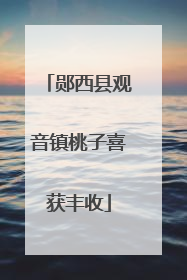 郧西县观音镇桃子喜获丰收
