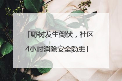 野树发生倒伏，社区4小时消除安全隐患