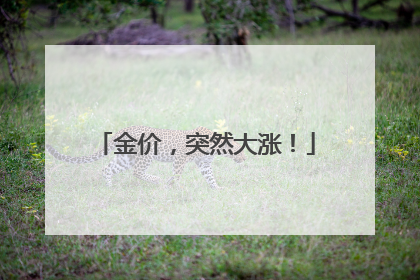 金价，突然大涨！