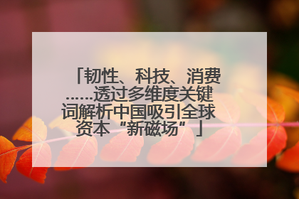 韧性、科技、消费……透过多维度关键词解析中国吸引全球资本“新磁场”