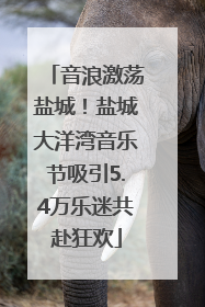 音浪激荡盐城！盐城大洋湾音乐节吸引5.4万乐迷共赴狂欢