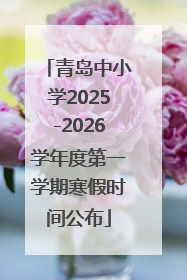 青岛中小学2025-2026学年度第一学期寒假时间公布