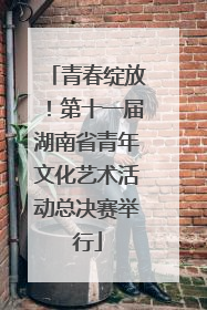 青春绽放！第十一届湖南省青年文化艺术活动总决赛举行