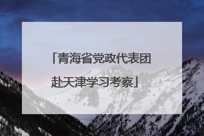青海省党政代表团赴天津学习考察