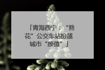 青海西宁：“簪花”公交车站扮靓城市“颜值”
