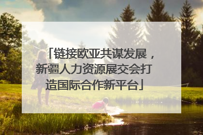 链接欧亚共谋发展，新疆人力资源展交会打造国际合作新平台