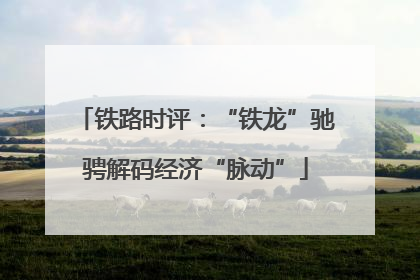 铁路时评：“铁龙”驰骋解码经济“脉动”