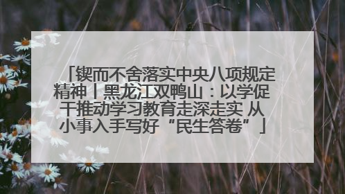 锲而不舍落实中央八项规定精神丨黑龙江双鸭山：以学促干推动学习教育走深走实 从小事入手写好“民生答卷”