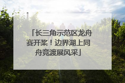 长三角示范区龙舟赛开桨！边界湖上同舟竞渡展风采