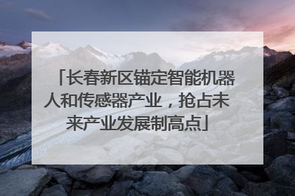 长春新区锚定智能机器人和传感器产业，抢占未来产业发展制高点