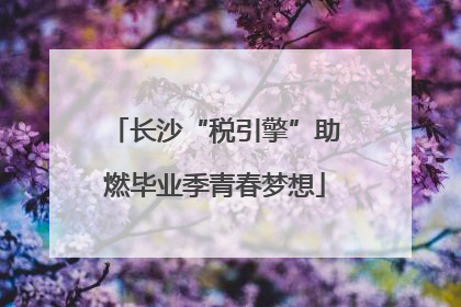 长沙“税引擎”助燃毕业季青春梦想