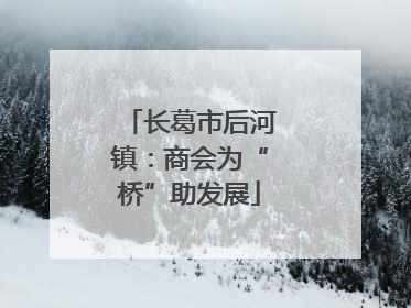 长葛市后河镇：商会为“桥”助发展