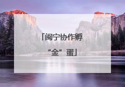 闽宁协作孵“金”蛋