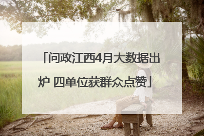 问政江西4月大数据出炉 四单位获群众点赞