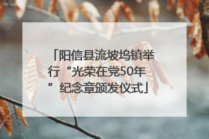 阳信县流坡坞镇举行“光荣在党50年”纪念章颁发仪式