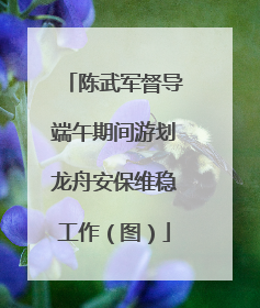 陈武军督导端午期间游划龙舟安保维稳工作（图）