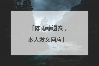 陈雨菲退赛，本人发文回应