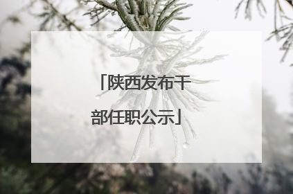 陕西发布干部任职公示