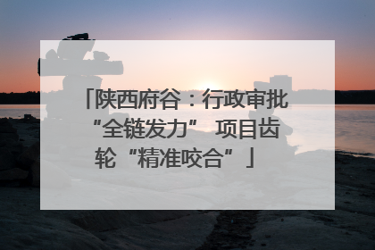 陕西府谷：行政审批“全链发力” 项目齿轮“精准咬合”
