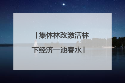 集体林改激活林下经济一池春水