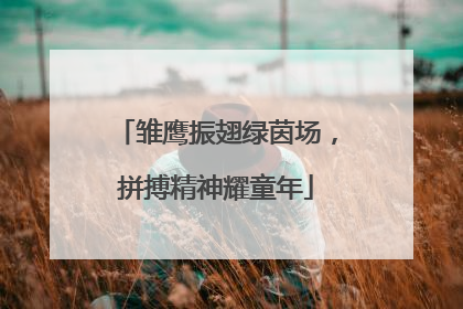 雏鹰振翅绿茵场，拼搏精神耀童年