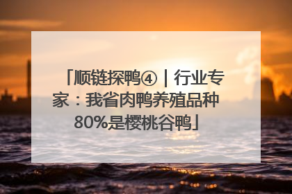 顺链探鸭④｜行业专家：我省肉鸭养殖品种80%是樱桃谷鸭
